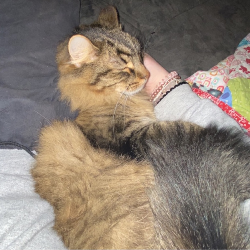 Meet your Posher, Luci